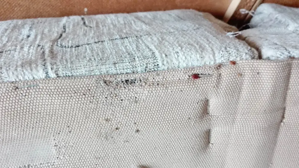 Widok obrzeża jasnego materaca ze śladami i owadami przy szwie